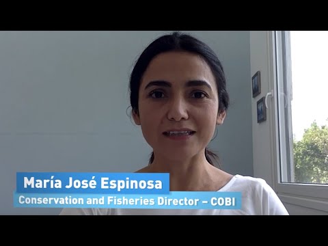 Sustainable fisheries management | Ocean Literacy Training Course