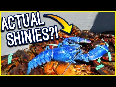 15 REAL LIFE SHINY POKÉMON!!