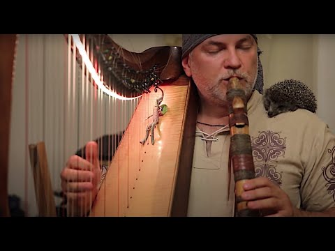 Alizbar / Celtic Harp & native American flute  /playing for a hedgehog Süny Арфа  и флейта для Ёжика