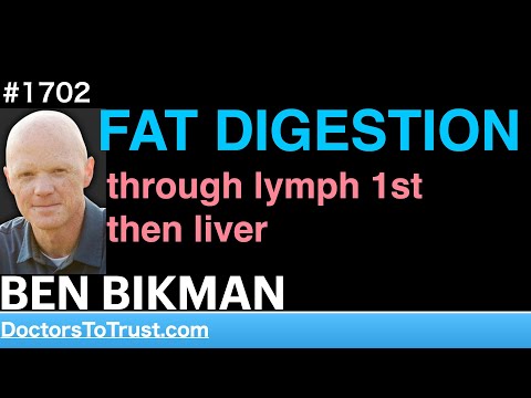 BEN BIKMAN mcC5 | FAT DIGESTION through lymph 1st; then liver