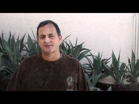 Voces de Cancún: Alberto Chinchilla sobre REDD+++ y la AMPB