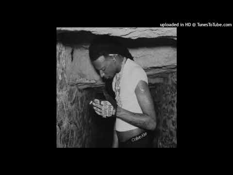 SURVIVOR - Playboi Carti [EXTENDED INTRO + GUITAR]