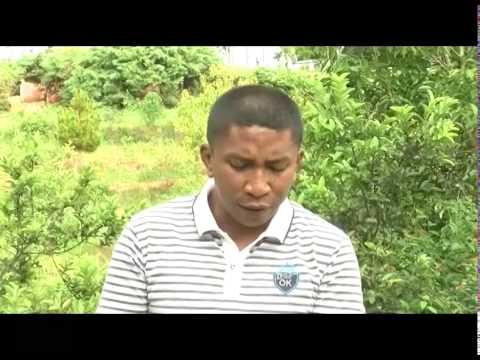 Miomana 80   Saino ny zavatra any ambony