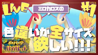 【ポケモンSV】色違いのミロカロス最大サイズが欲しい！！！【色粘り】