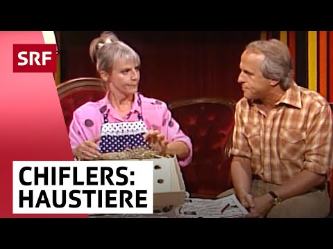Adam und Eva Chifler: Haustiere | Traumpaar | Comedy | SRF