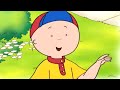Caillou Is Friendly Caillou Cartoon