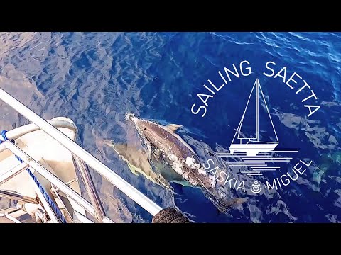 Sailing Saetta Crosses the Bay of Biscay