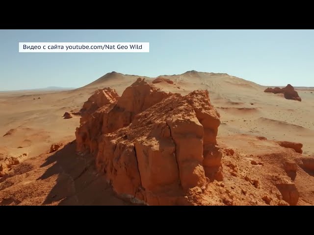 «Новый год в Монголии»