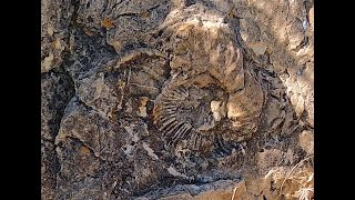 Levi Blues - David Wilcox