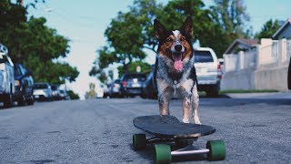 CHON - Waterslide (Official Music Video)