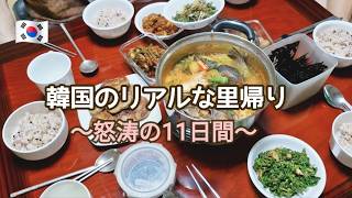 【里帰り🇰🇷】1年ぶりの韓国。息子の一大決心 / 聖水(ソンス)＆トンミョ市場観光 p.193