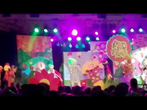 SEN-feesten Neede 2017 - Playbackshow - Foud Geplukt - Winnaar