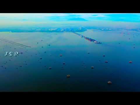 Potato-Deal-music🎧