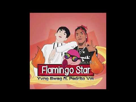 Yvng Swag - Flamingo Star ft. Pedrito VM (Official Audio)