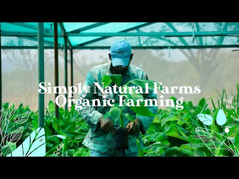 What Cuba can teach America about organic farming