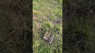 sirene-urla-e-pietre-volate-come-fogli-di-carta