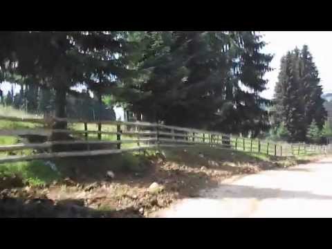 Fundatica 2 27 iulie 2014