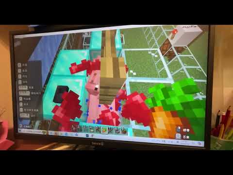 新進國小 麥塊SDGs聯合國永續發展目標 鄭O云-麥塊SDGs程式競賽-112學年第二學期