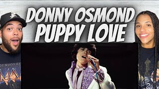 FIRST TIME HEARING Donny Osmond -  Puppy Love REACTION