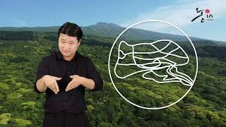 Seogwipo Forest of Healing  - 서귀포 치유의 숲