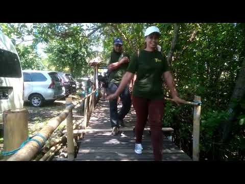 TARITA FURNITURE BAKSOS 2023