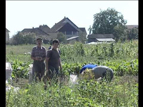 Ermelleki barangolasok Erkortvelyes