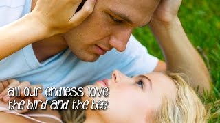 The Bird and the Bee - All Our Endless Love (Matt Berninger) Tradução Endless Love (Lyrics Video)HD