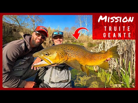 Je traque les plus grosses truites du monde (pêche au leurre) !!