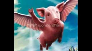 If Pigs Could Fly