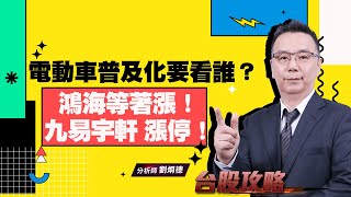 電動車普及化要看誰？鴻海等著漲！ 九易宇軒 漲停！ (圖)
