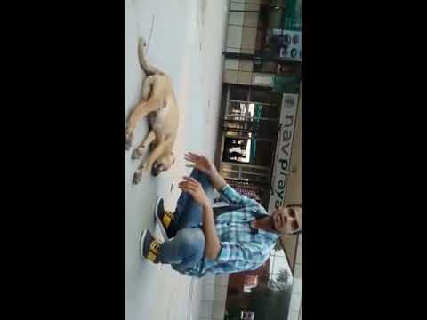 MD FAIZAN KHAN Man vs Dog