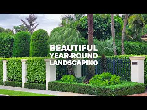 Commercial Landscape The GreenShape – Palm Beach, Broward, and Miami-Dade Landscaping Experts!