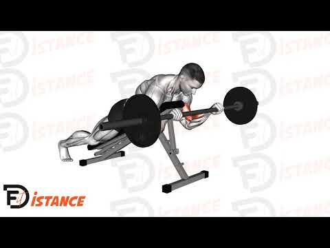 Exercice Curl spider inversé à la barre