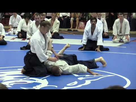 Birankai Aikido Summer Camp 2017 3