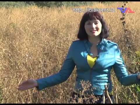 Лисаковск, выпуск программы «День» от 18 сентября 2015г