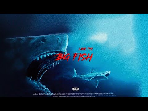 Laur Tys - BIG FISH 🦈