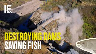 The $500M Fight to Save Salmon