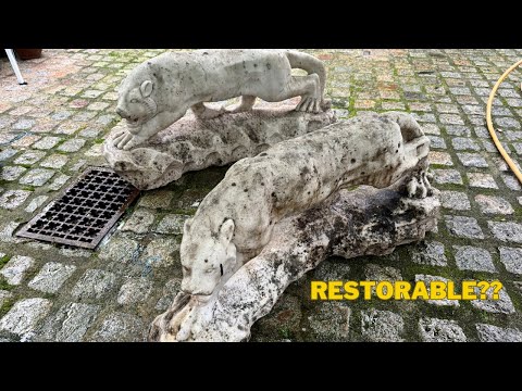 I Blast A Pair Of Mouldly, Old & Neglected "PROWLING PANTHERS" Can They Be Restored??