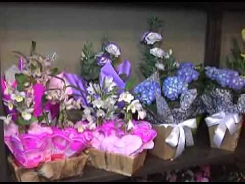 Programa Neusa Bighetti exibido no dia 04/08/2013 - Especial Galeria Dia dos Pais