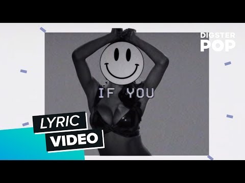 Fake Pictures - Two Princes (Lyric Video)