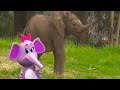 Baby Elephants Song Learn Animals Songs From Baby Genius