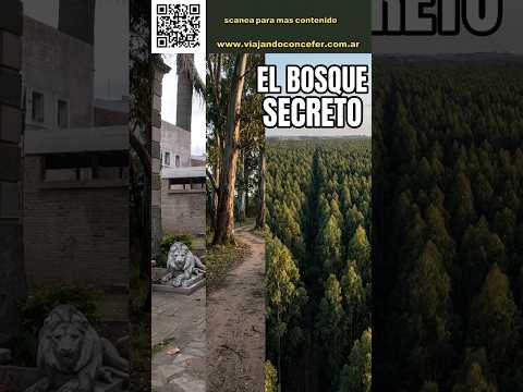 El bosque secreto de 17.000 árboles que oculta la pampa: PEYRANO (Parte 2) 🇦🇷🎉