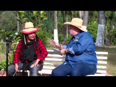 RANCHINHO DO SINHÁ 1006 - TRIO LAMPIÃO SP - BLOCO 2