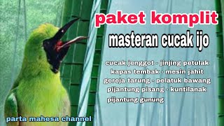 Download lagu Kombinasi Masteran Cucak ijo Tembakan Kasar - Full Isian Mewah Untuk Burung Lomba mp3