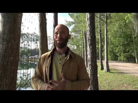 Vlog: Okefenokee Swamp (East Entrance) - Georgia 20150329
