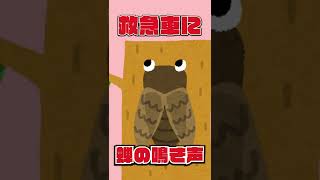底辺歌い手が #タンタカタンタンタンタンメン #替え歌 で #歌ってみた #ぼっちぼろまる #Tiktok #おすすめにのりたい #底辺歌い手の裏事情