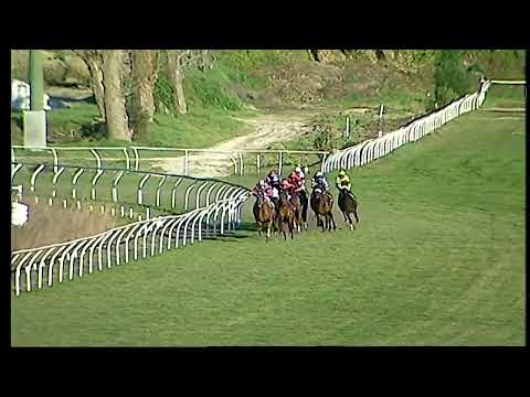 Napoli Galoppo 08/02/2022 - 5ª corsa