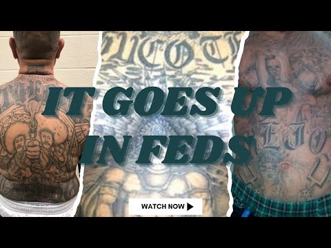 La eme(mexikanemi)/Aztecas VS hermandad pistoleros/Tango blast. #federal  #war  #story