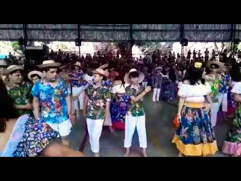 Meu cavalo meu bretão - A fazenda do zenon