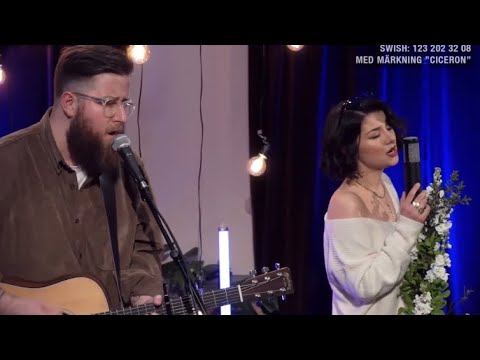 Late night stories– Cornelia Jakobs